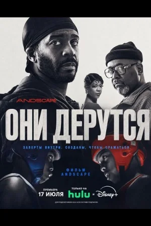 Они дерутся