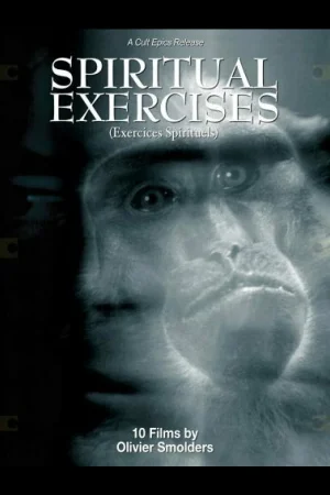 Любитель