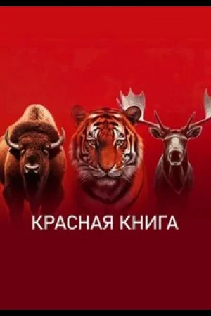 Красная книга 1 сезон