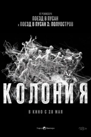 Колония