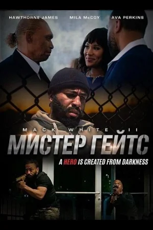 Мистер Гейтс