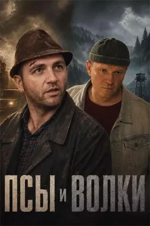 Псы и волки 1 сезон